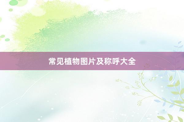 常见植物图片及称呼大全