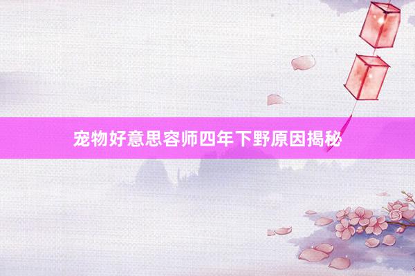 宠物好意思容师四年下野原因揭秘