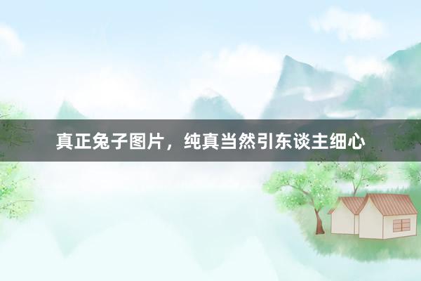 真正兔子图片，纯真当然引东谈主细心