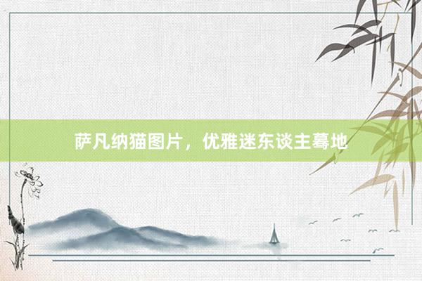 萨凡纳猫图片，优雅迷东谈主蓦地