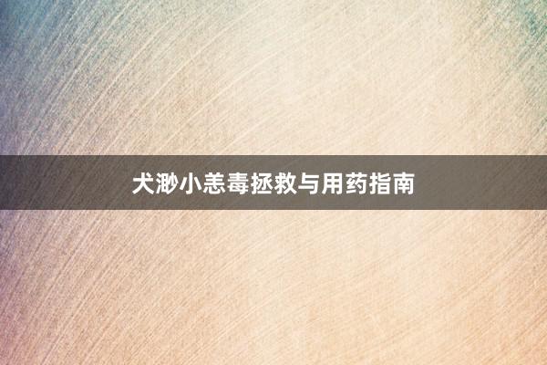 犬渺小恙毒拯救与用药指南